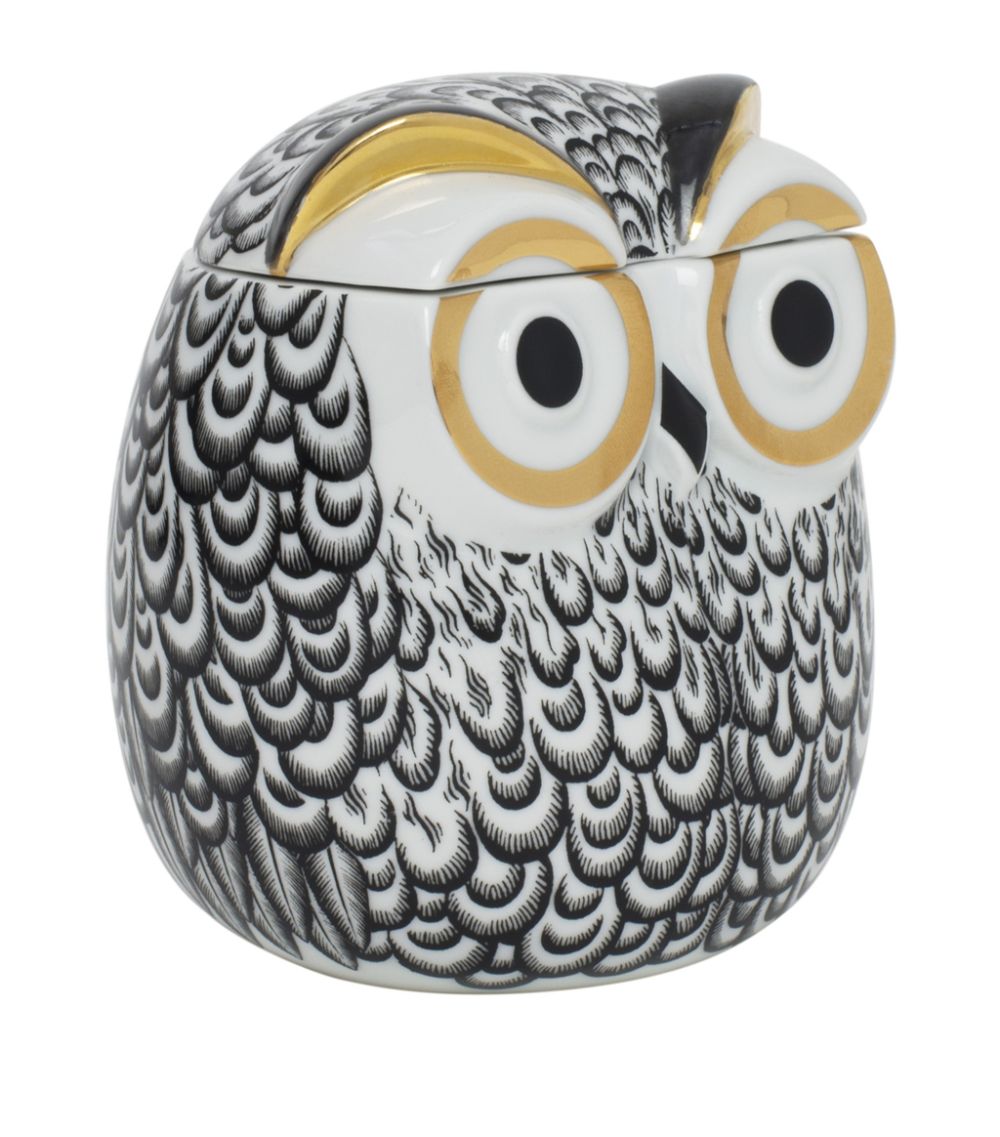 Fornasetti Fornasetti Civetta Piumata Pot (12Cm)