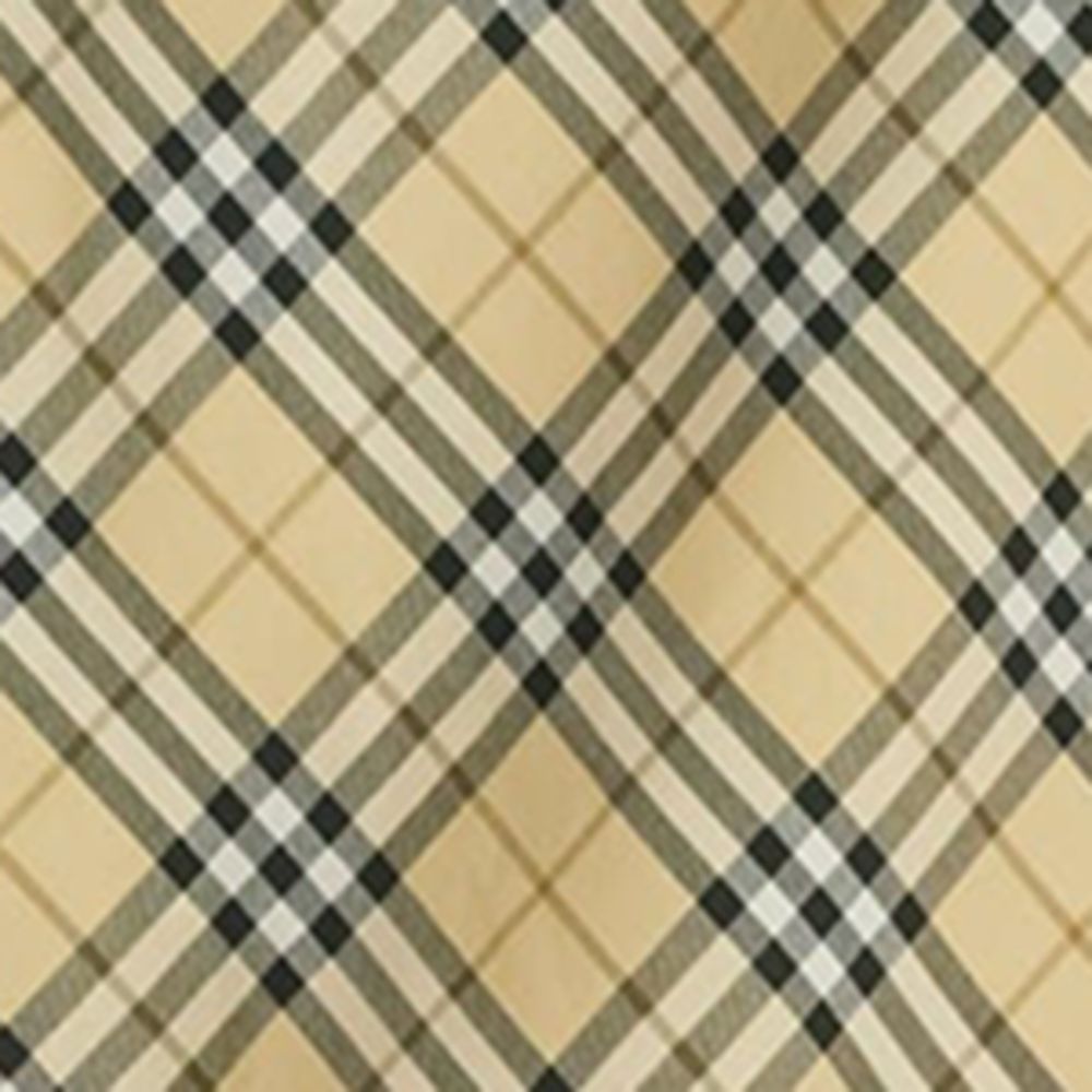 Burberry Burberry Check Shirt