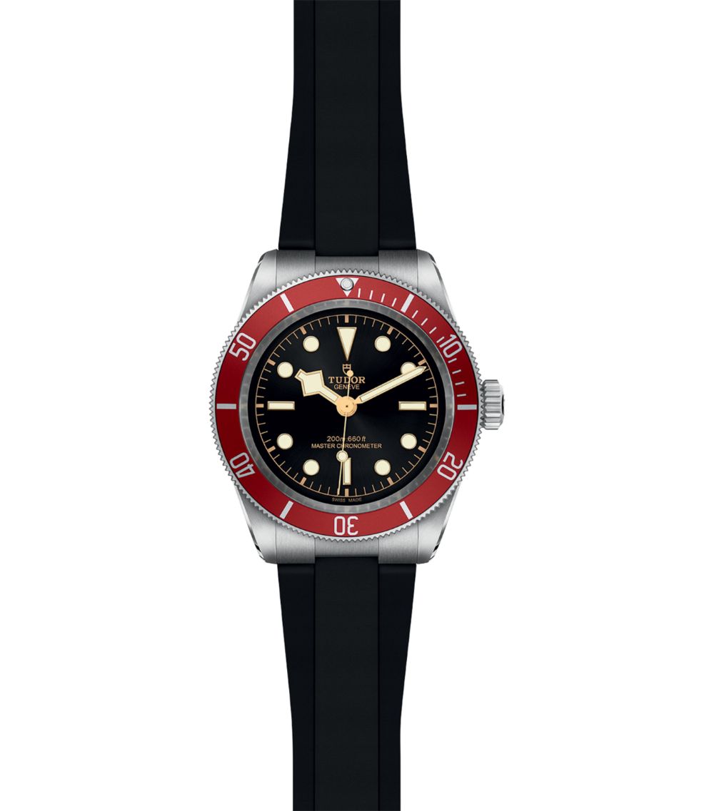 Tudor Tudor Stainless Steel Black Bay Watch 41Mm
