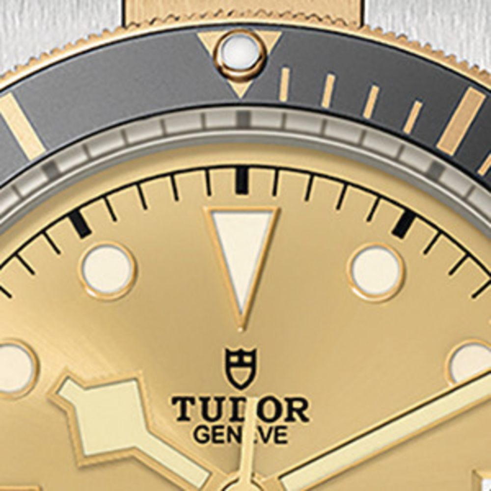 Tudor Tudor Black Bay Stainless Steel And Yellow Gold Watch 41Mm