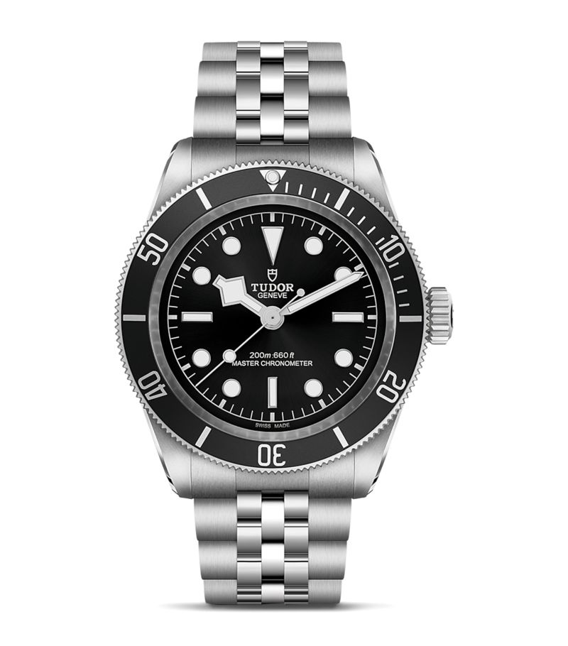 Tudor Tudor Black Bay Stainless Steel Automatic Watch 41Mm