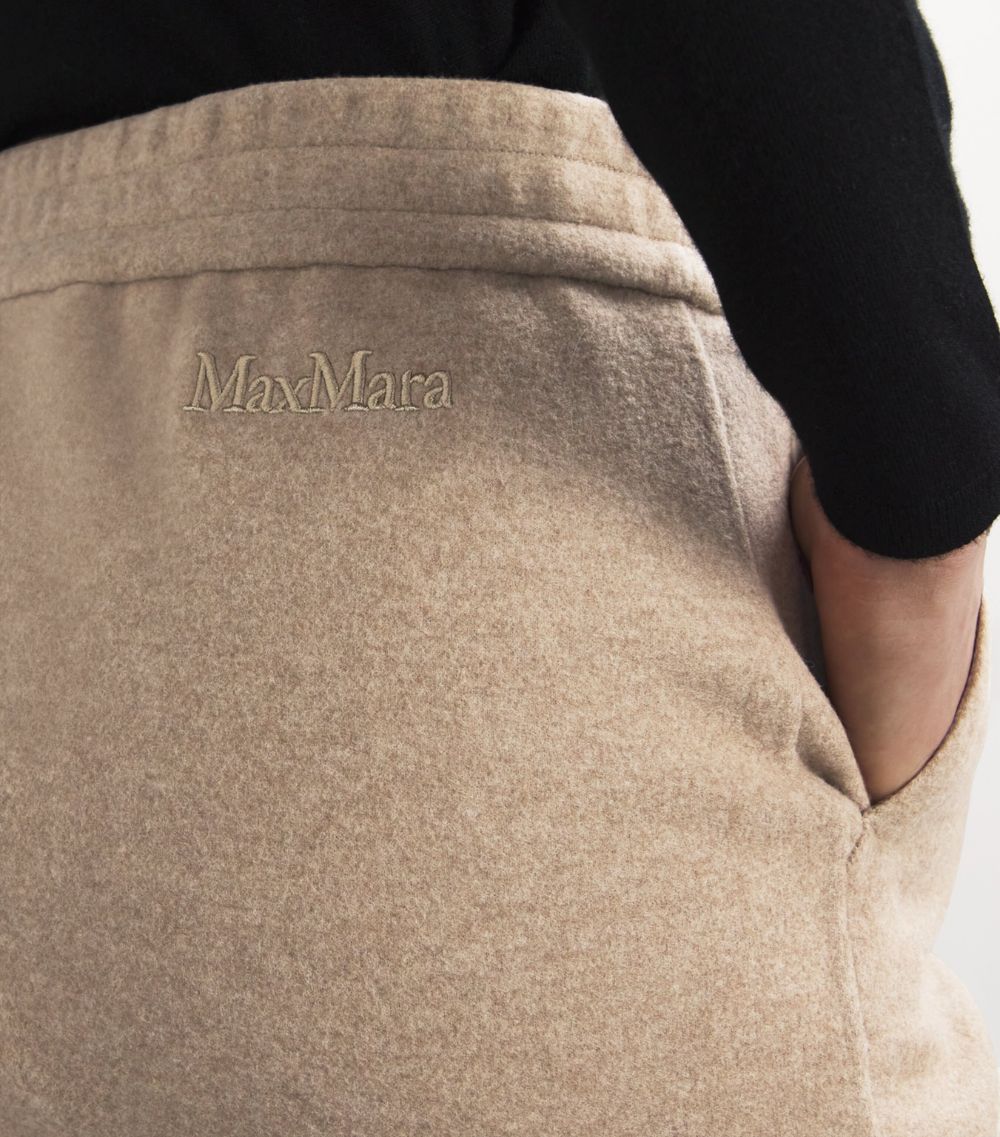 Max Mara Max Mara Virgin Wool-Cashmere-Blend Mini Skirt