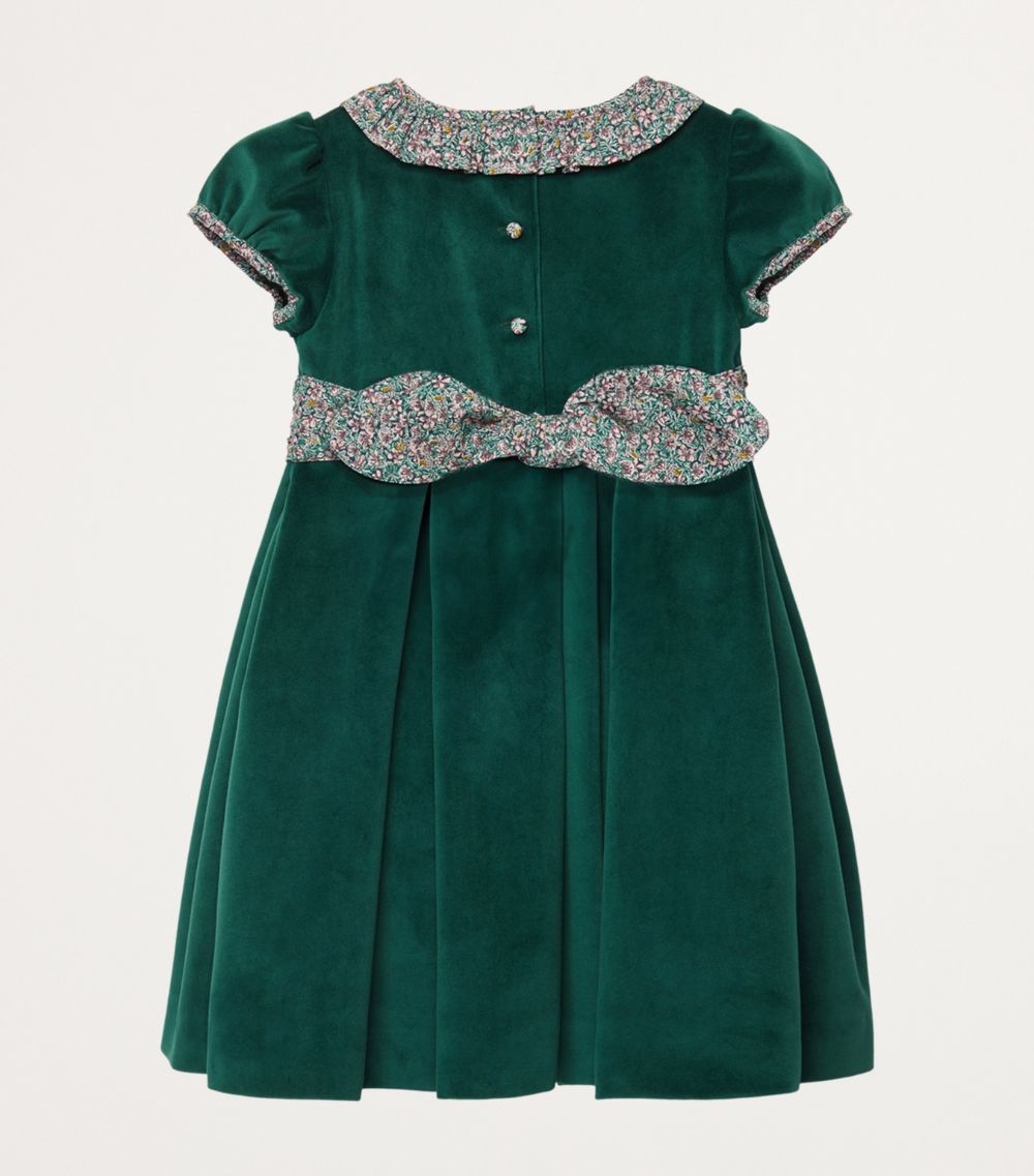 Trotters Trotters Velvet Robin Party Dress (2-5 Years)