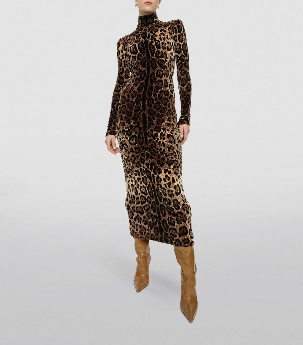 Dolce & Gabbana Dolce & Gabbana Leopard Print Midi Dress