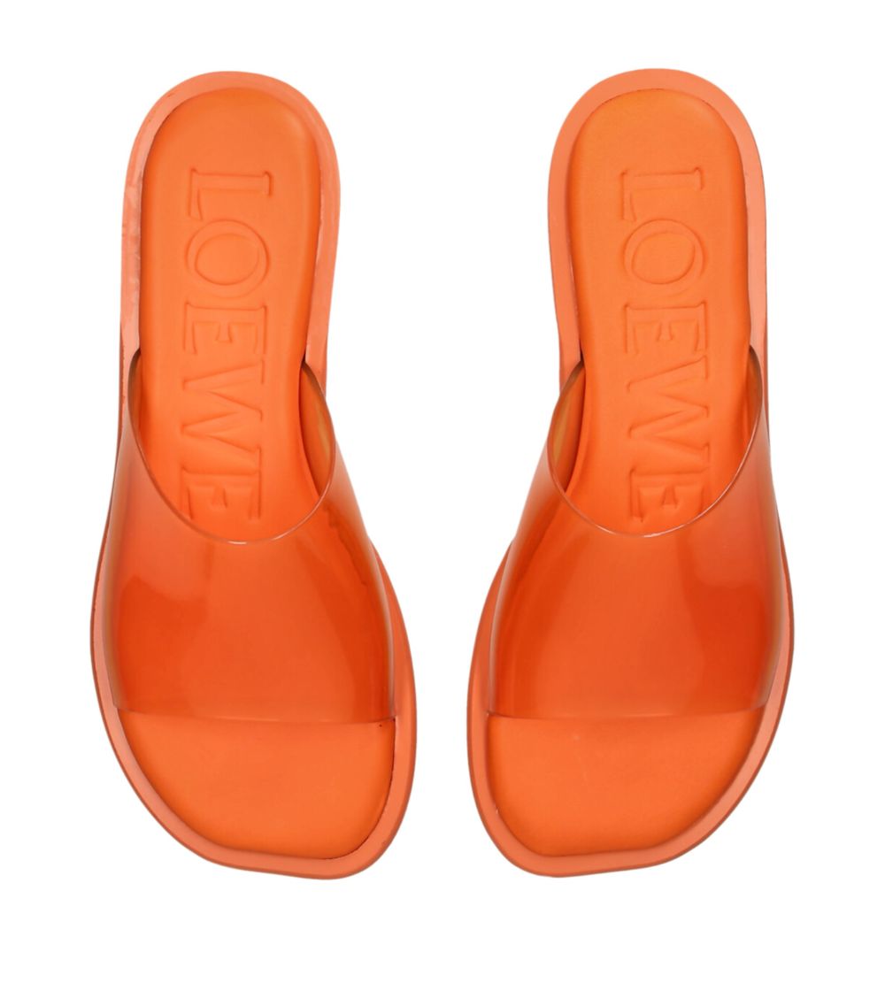 Loewe Loewe Petal Slides