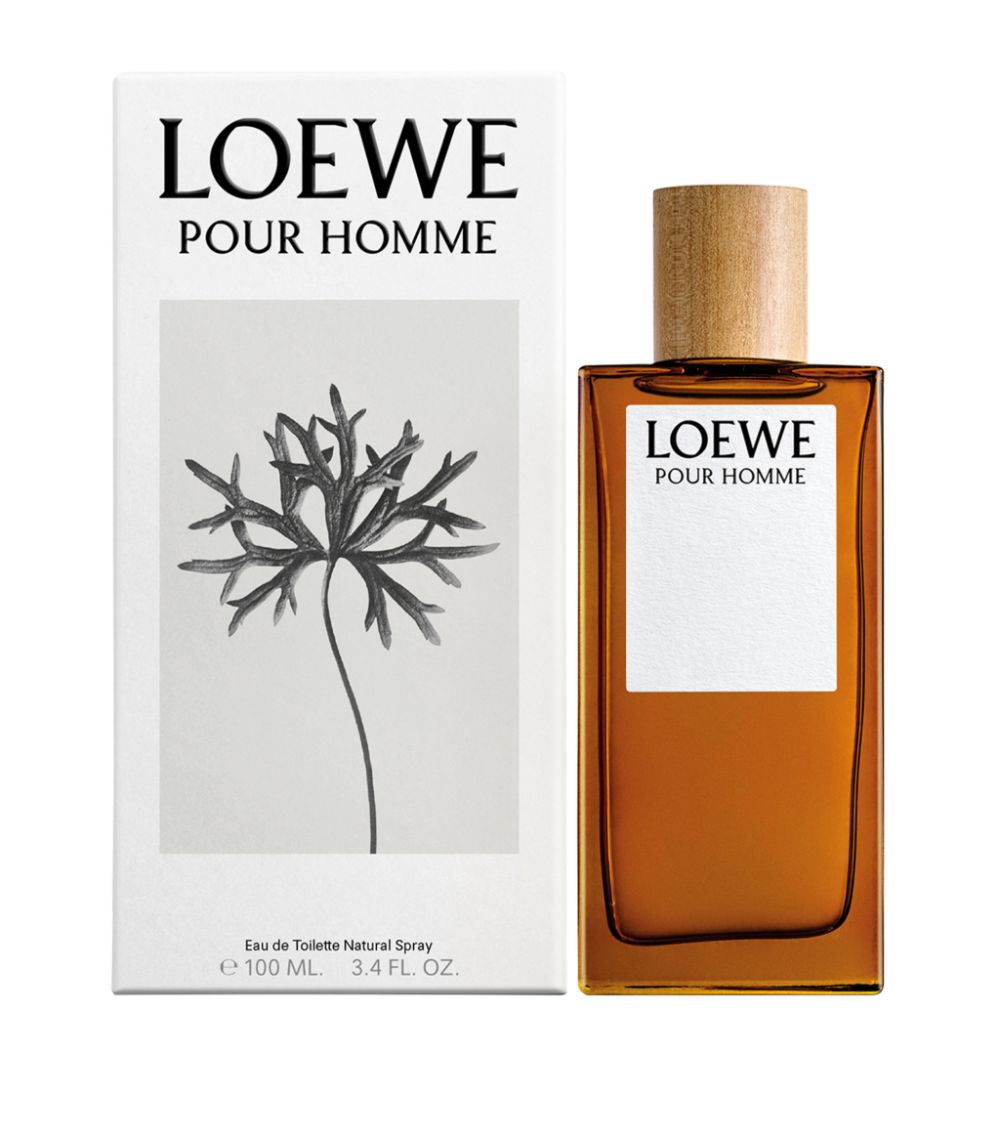 Loewe Loewe Pour Homme Eau De Toilette (100Ml)