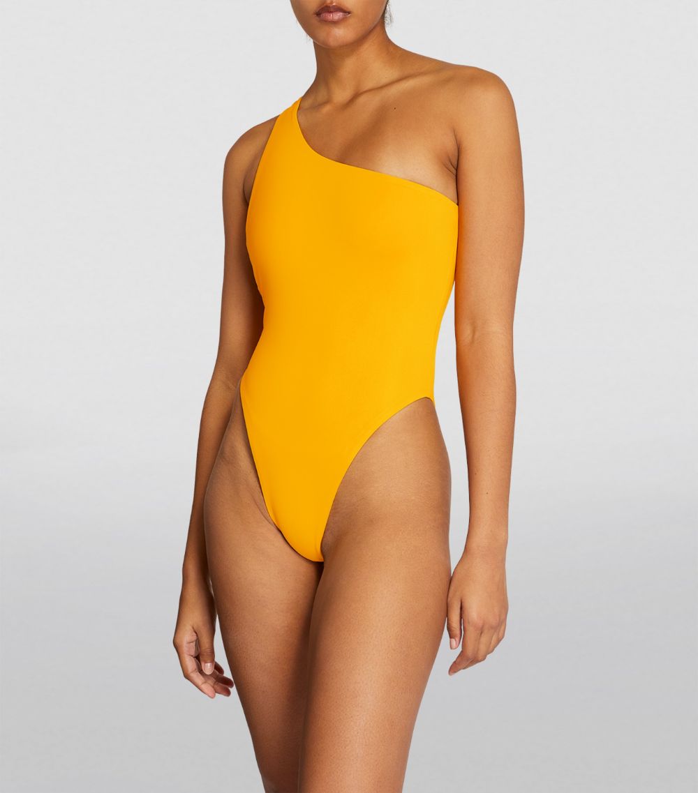 Louisa Ballou Louisa Ballou Plunge Asymmetric Swimsuit