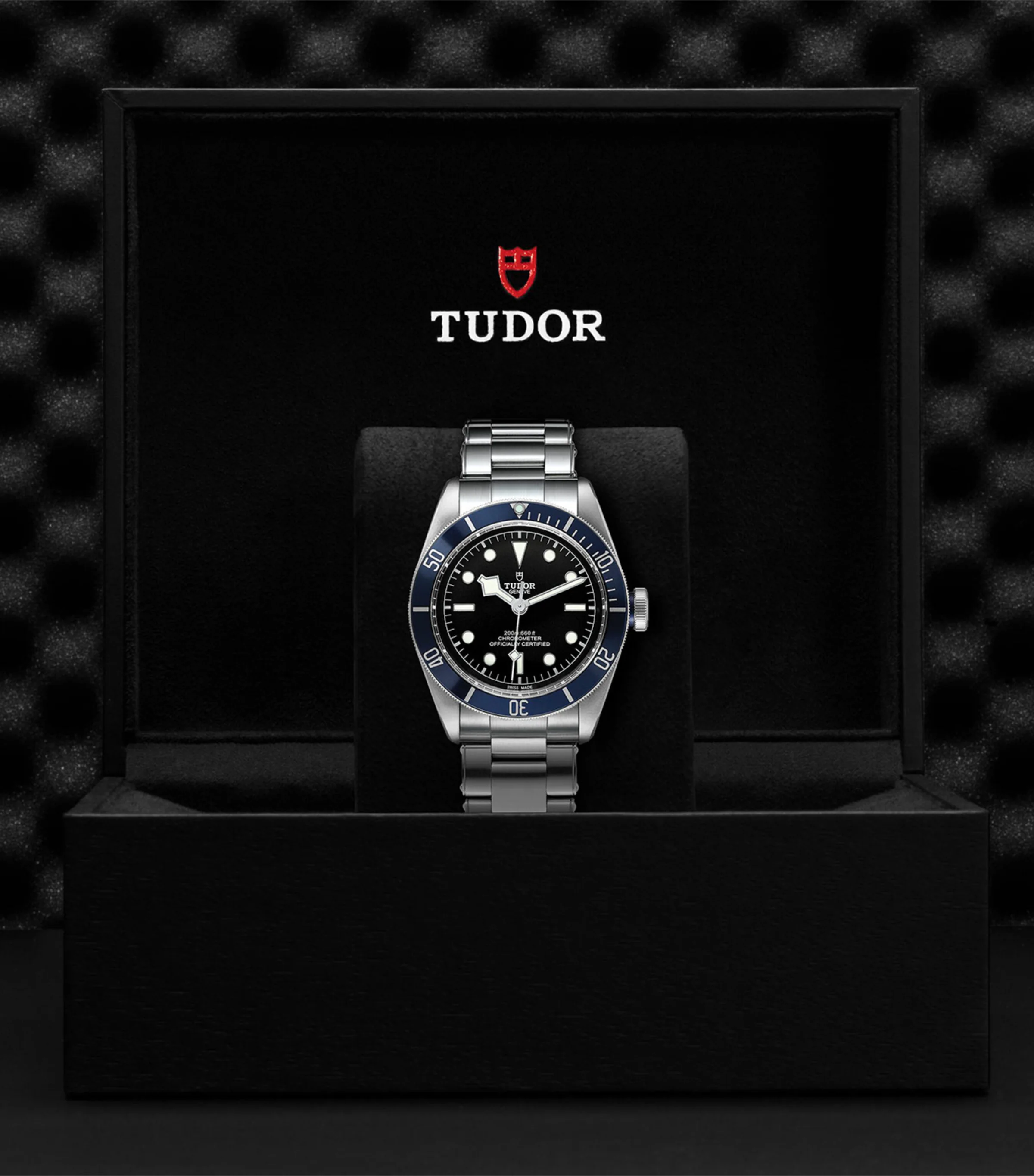 Tudor Tudor Black Bay Stainless Steel Watch