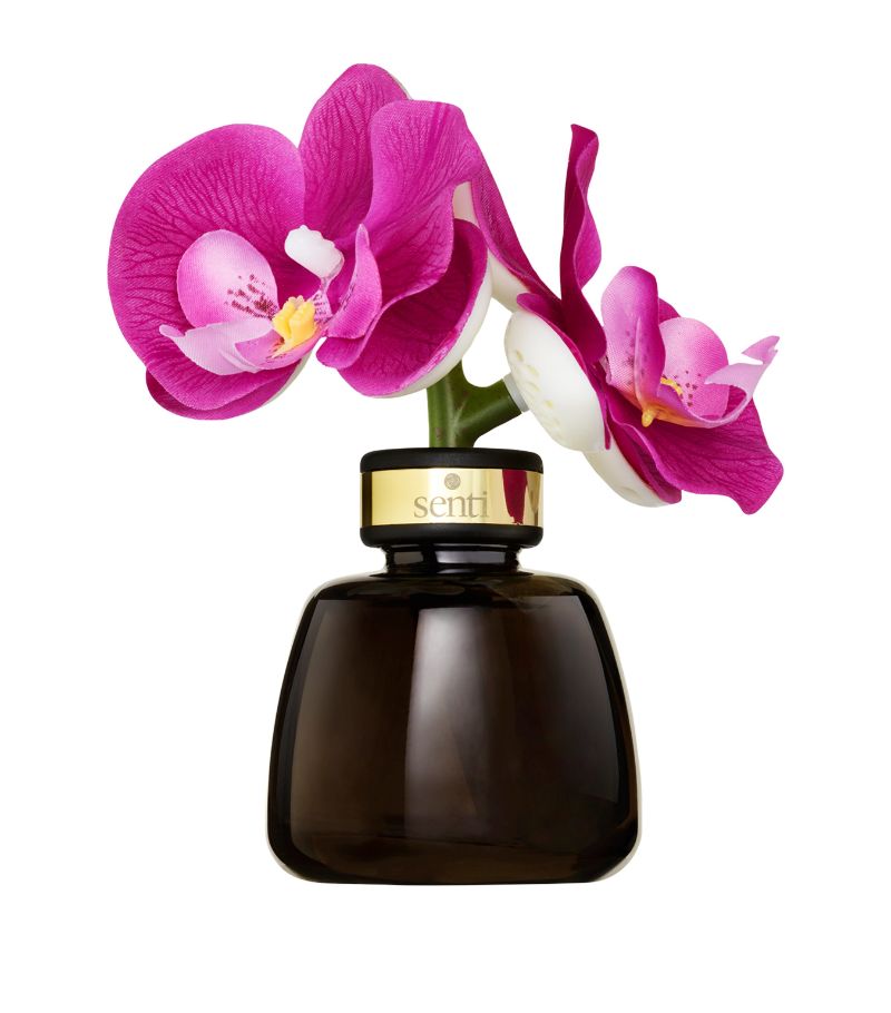 Senti Senti White Flowers Pink Orchid Diffuser (100Ml)