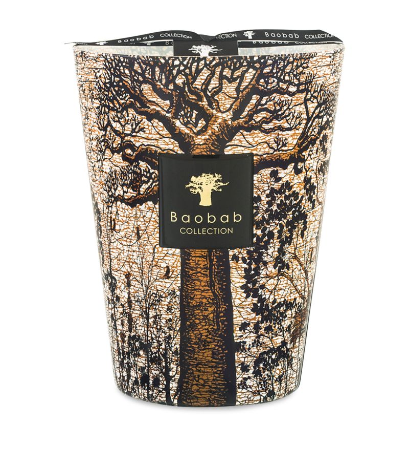 Baobab Collection Baobab Collection Sacred Trees Morondo Candle (3Kg)