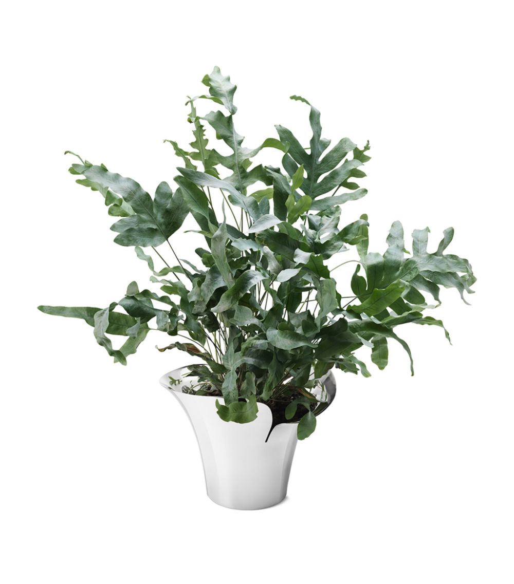 Georg Jensen Georg Jensen Bloom Botanica Plant Pot (19Cm)