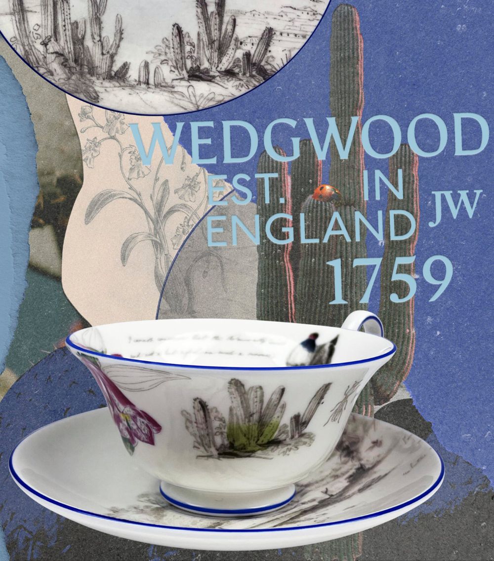 Wedgwood Wedgwood Set Of 3 Voyage Of The Beagle Chile Plates, Teacups And Saucers