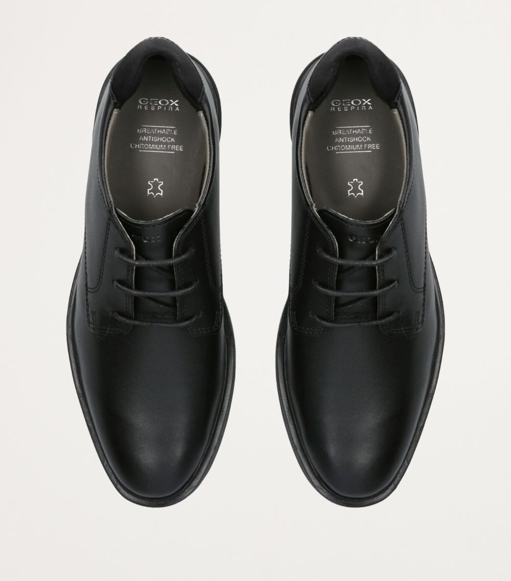 Geox Geox Leather Zheeno Oxford Shoes