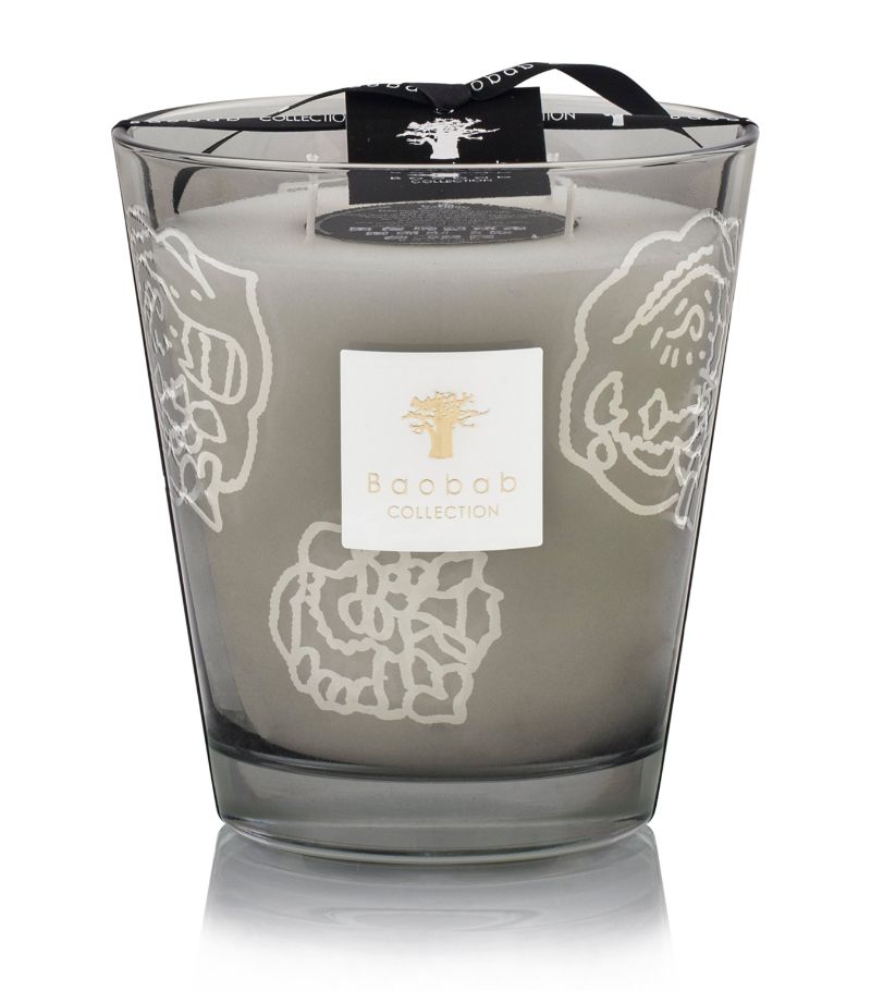 Baobab Collection Baobab Collection Collectible Roses Grey Candle (1.5kg)