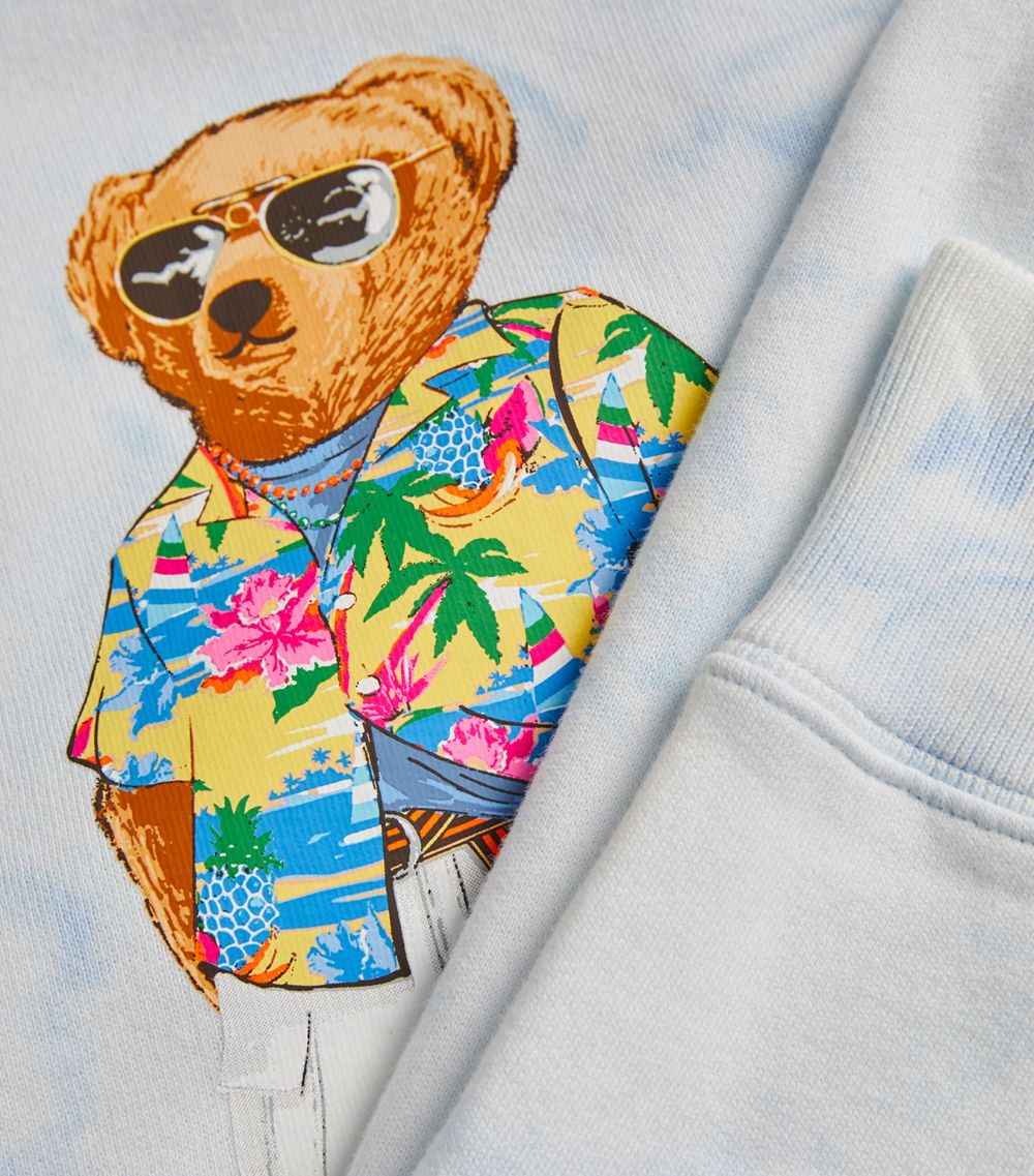 Polo Ralph Lauren Polo Ralph Lauren Tie-Dye Polo Bear Hoodie