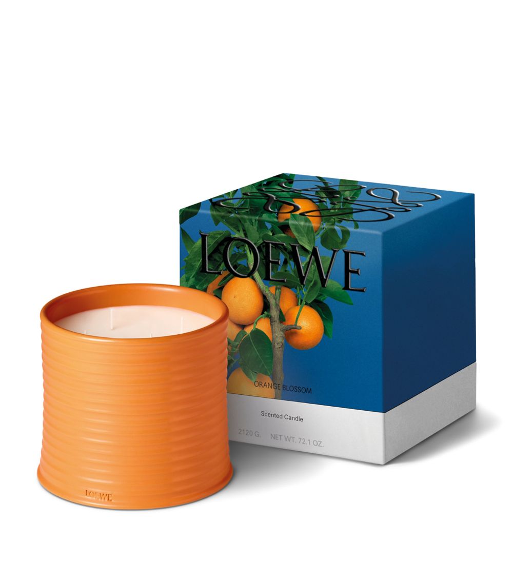 Loewe Loewe Large Orange Blossom Candle (4.85Kg)