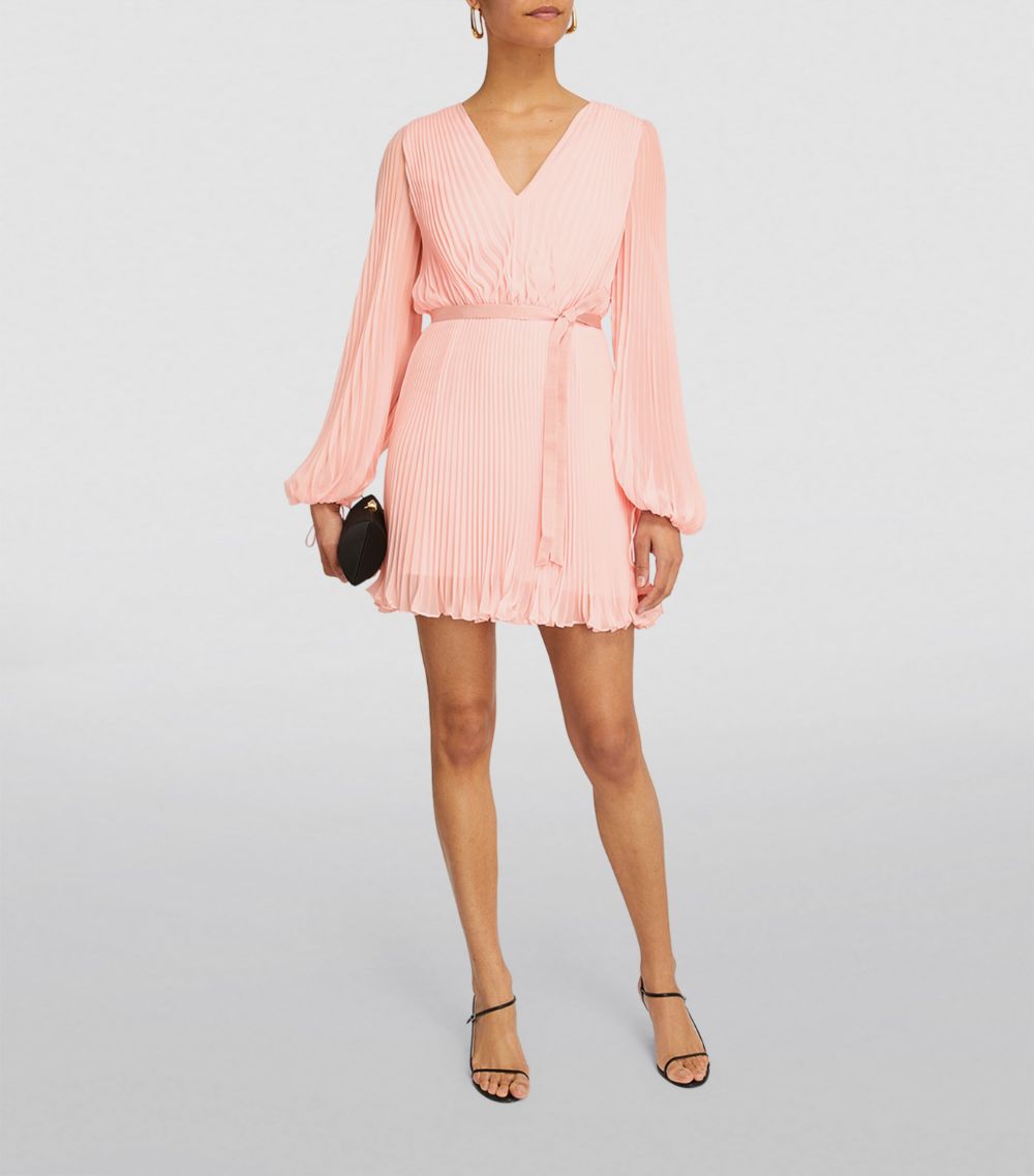 Max Mara Max Mara Long-Sleeve Mini Dress