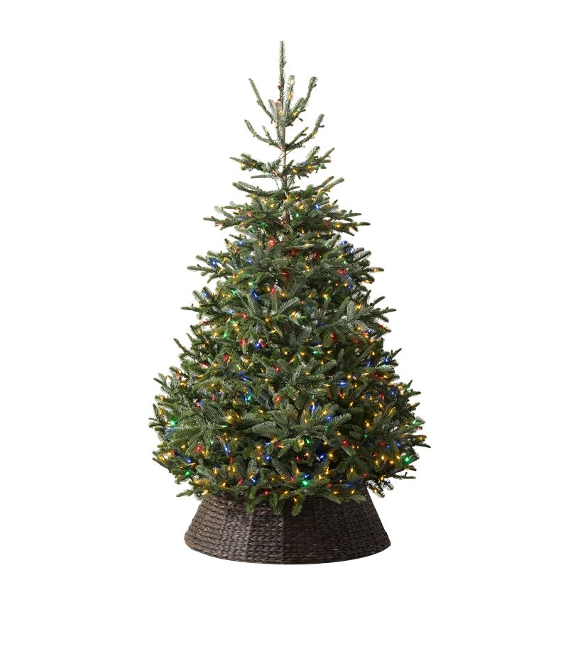 Balsam Hill Balsam Hill Nordmann Fir Led Colour + Clear Christmas Tree (12Ft)