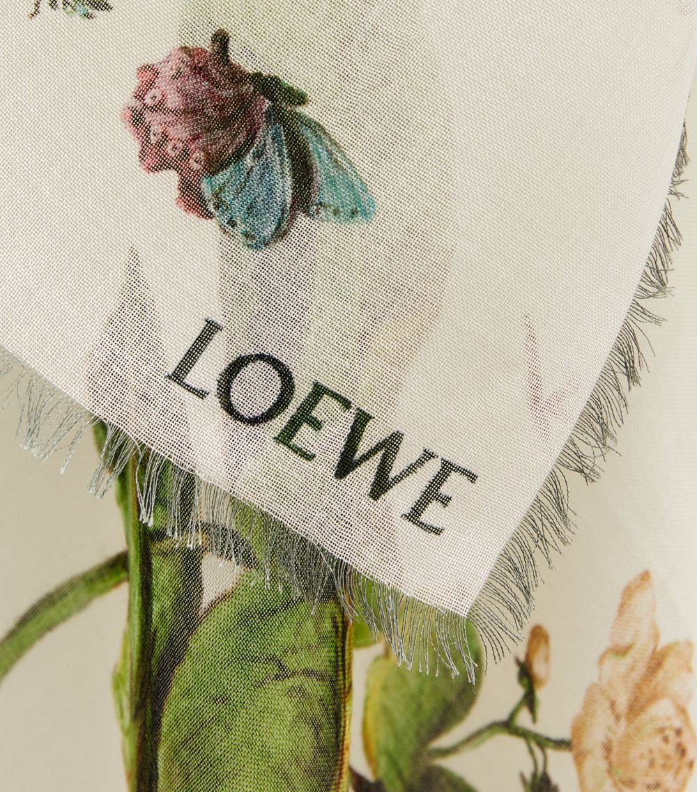 Loewe Loewe Cashmere-Silk Watercress Shawl