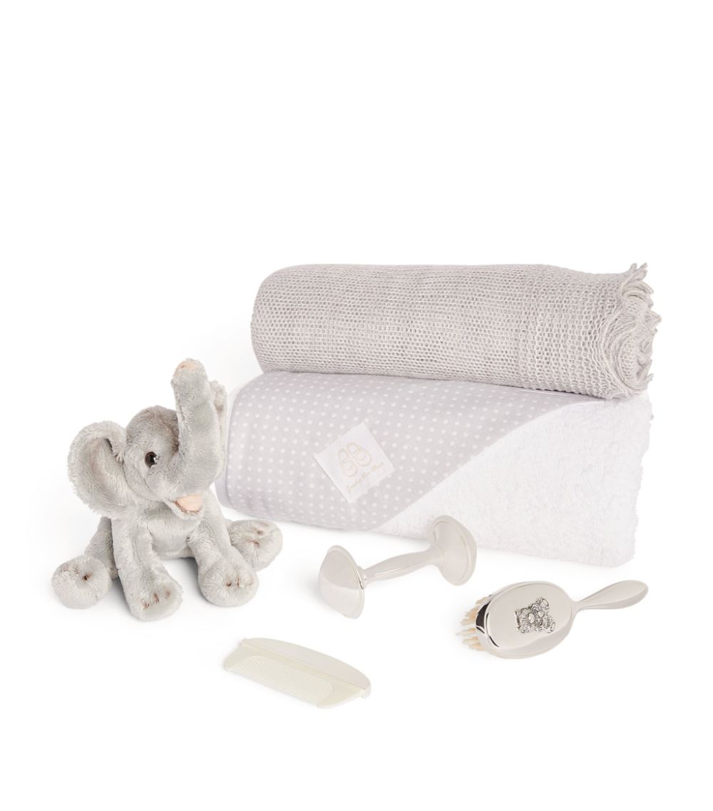 English Trousseau Kids English Trousseau Kids Organza New Baby Hamper