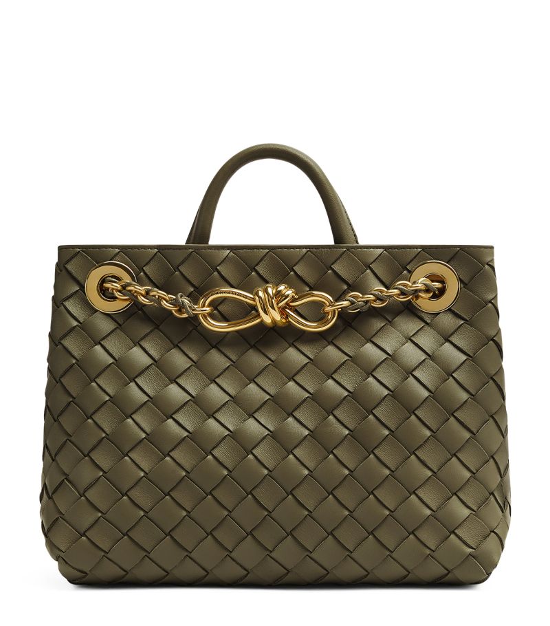 Bottega Veneta Bottega Veneta Small Leather Andiamo Chain Shoulder Bag