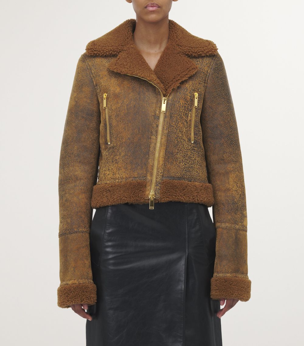 Alexander McQueen Alexander Mcqueen Leather Shearling Aviator Jacket