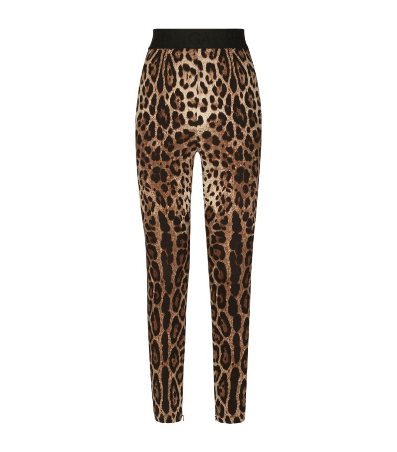 Dolce & Gabbana Dolce & Gabbana Leopard-Print Leggings