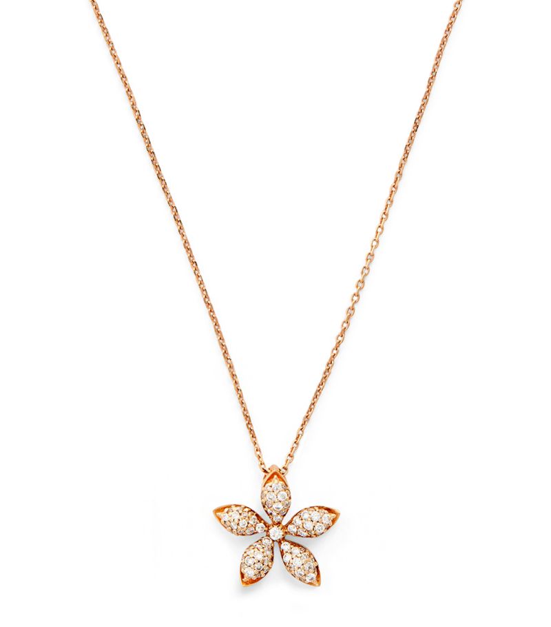 Bee Goddess Bee Goddess Rose Gold And Diamond Apple Seed Necklace