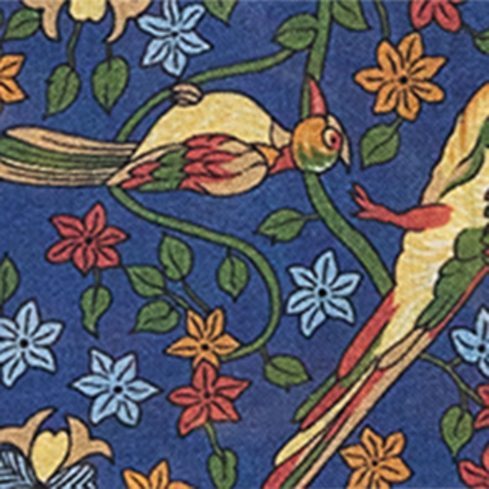  Drake'S Wool-Silk Parrot Print Scarf