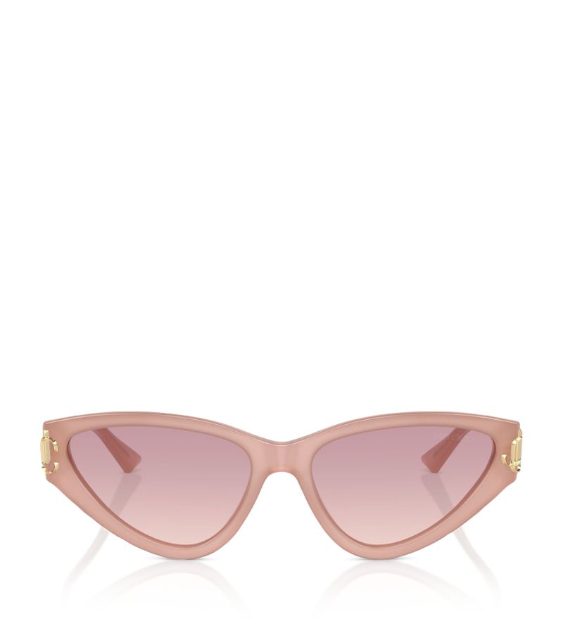 Jimmy Choo Jimmy Choo Acetate Jc5019 Sunglasses