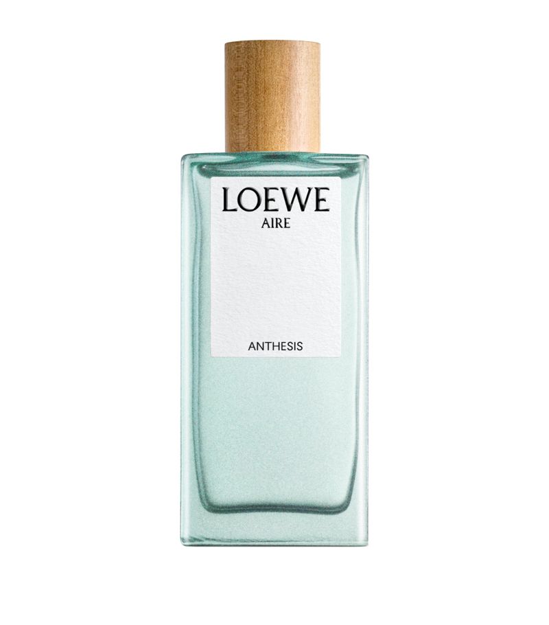 Loewe Loewe Aire Anthesis Eau De Parfum (100Ml)