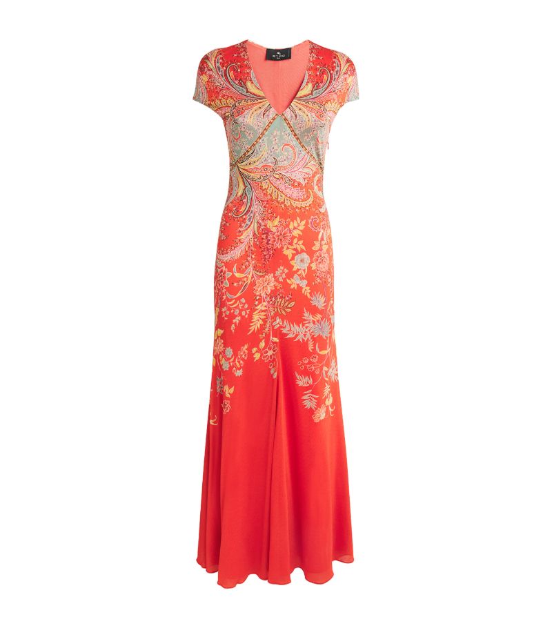 Etro Etro Floral Print Maxi Dress