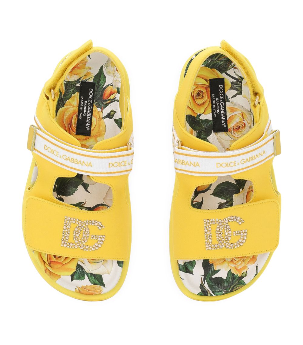 Dolce & Gabbana Dolce & Gabbana Kids Floral Logo Sandals