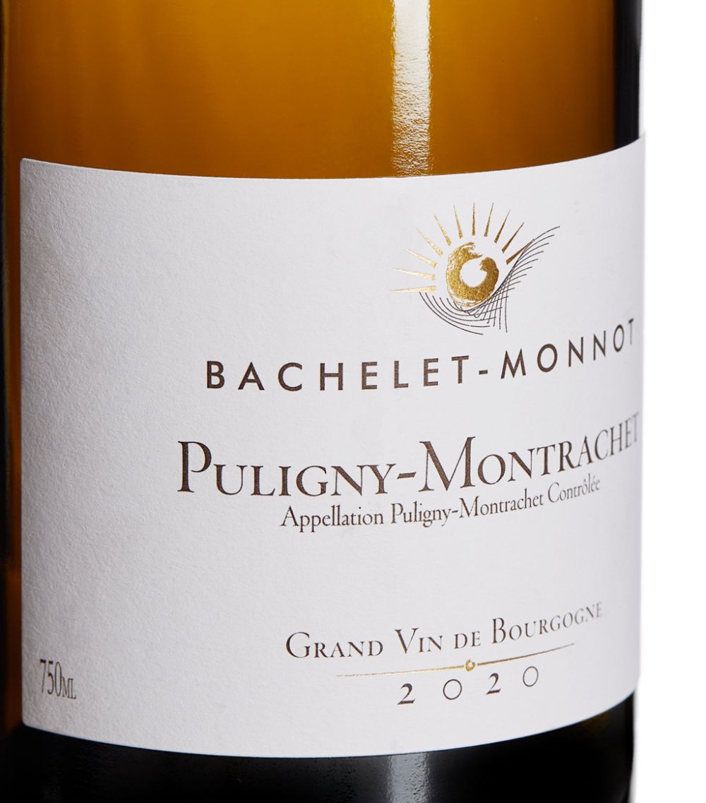 Vougeraie Vougeraie Puligny Montrachet Chardonnay 2020 (75Cl) - Burgundy, France
