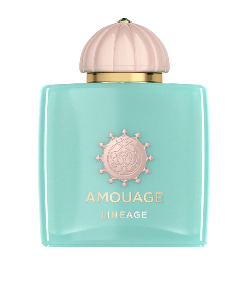 Amouage Amouage Lineage Eau De Parfum (100Ml)