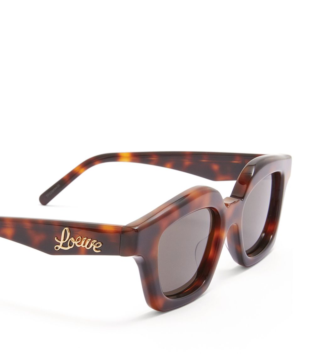  Loewe Eyewear Small Browline Sunglasses