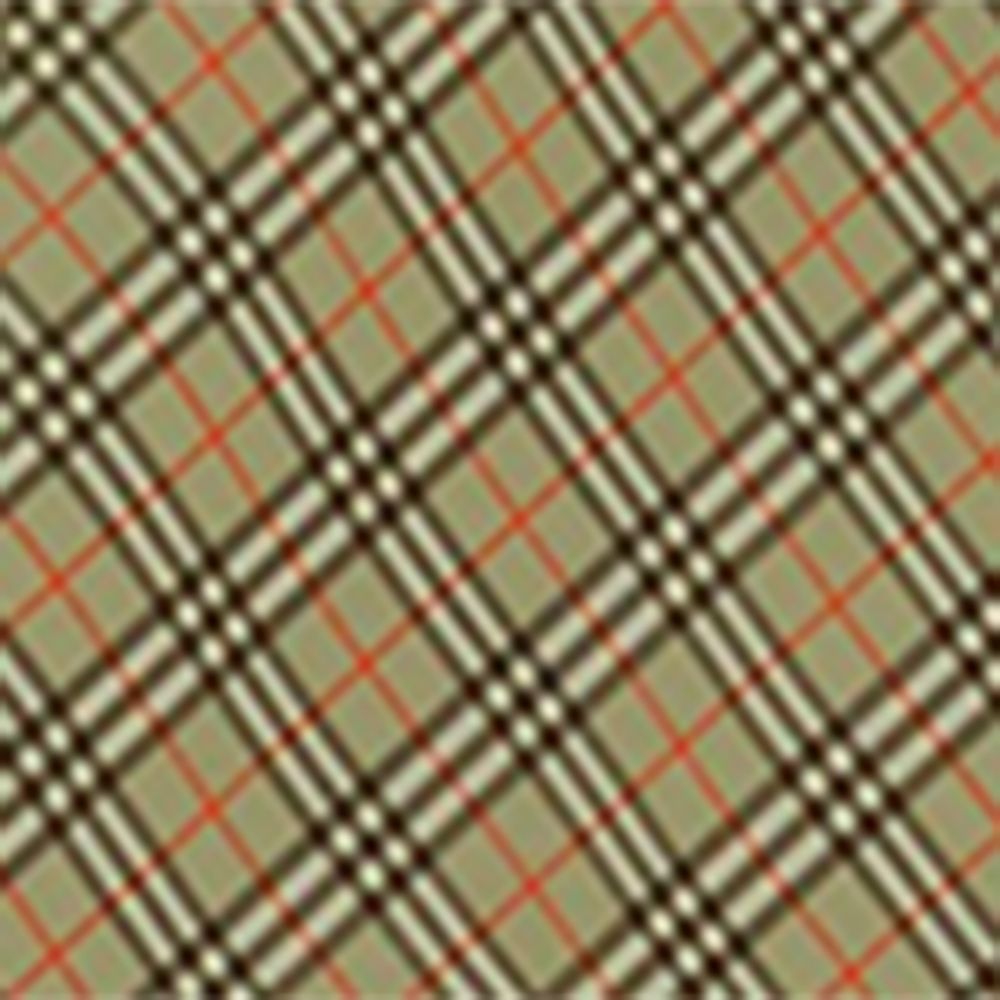 Burberry Burberry Cotton Check Shirt Dress