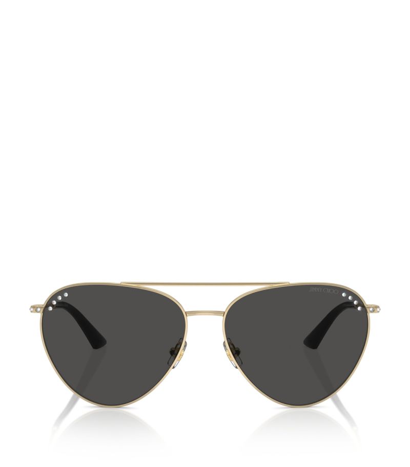 Jimmy Choo Jimmy Choo Steel Jc4002B Sunglasses