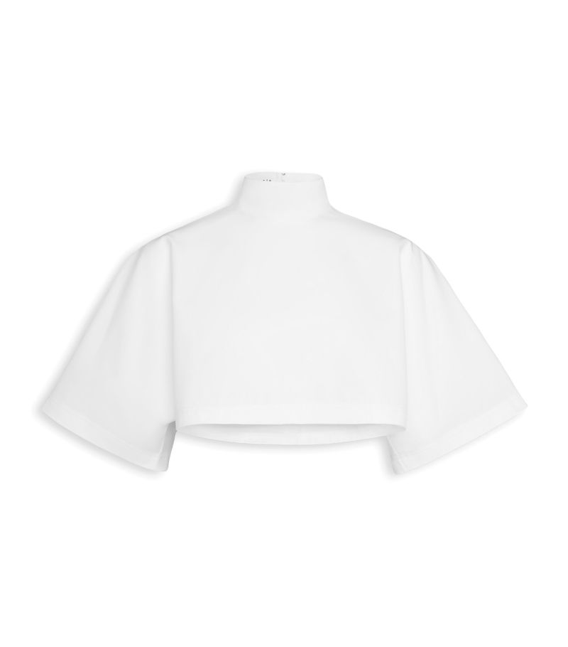 Alaïa Alaïa High-Neck Crop Top