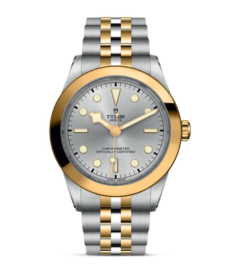 Tudor Tudor Steel And Yellow Gold Black Bay Watch 39Mm