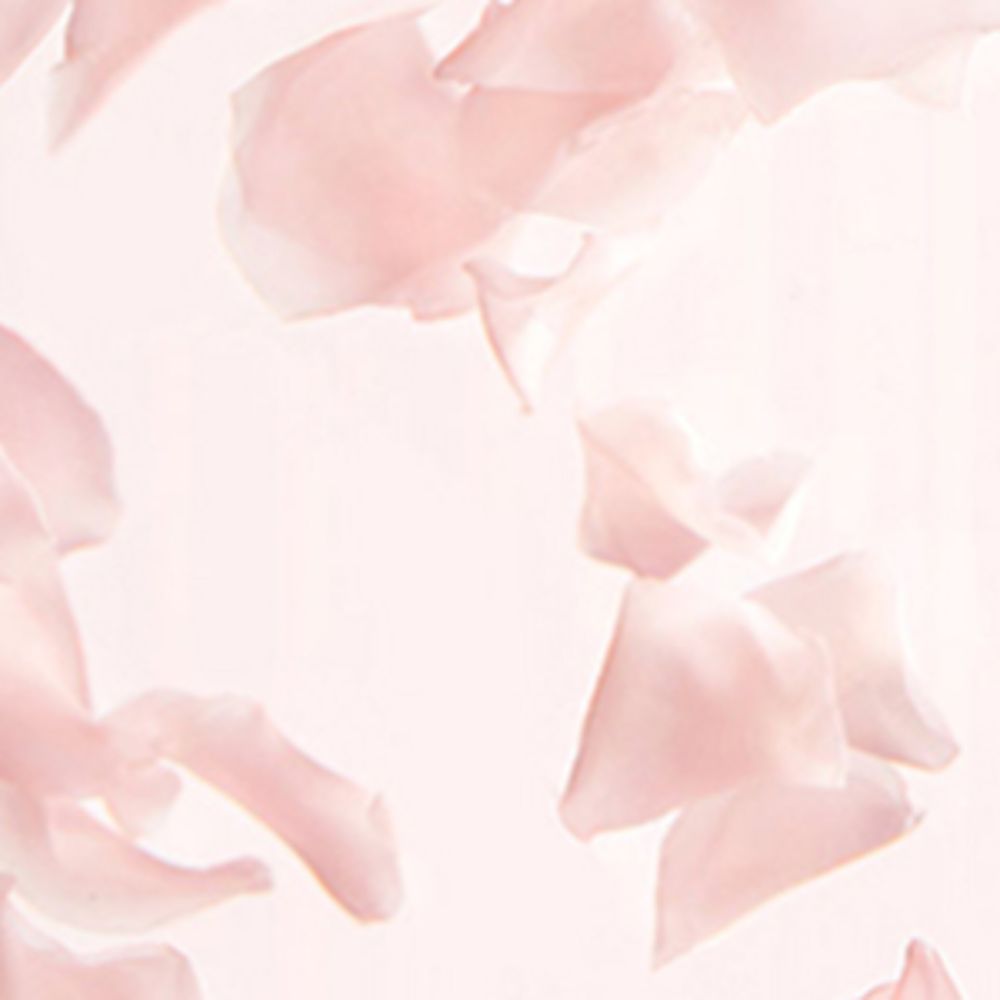Burberry Burberry Her Petals Eau De Parfum (88Ml)