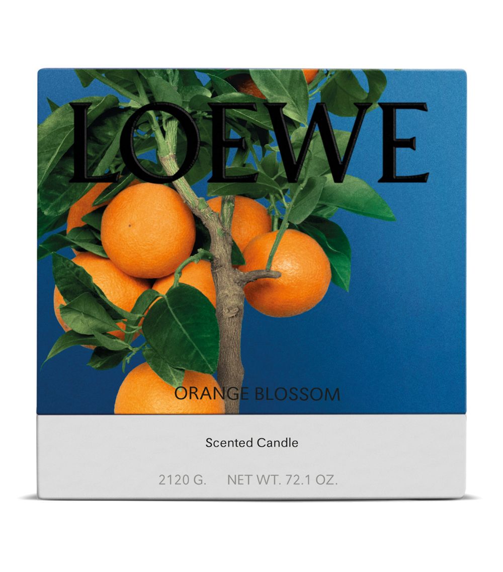 Loewe Loewe Large Orange Blossom Candle (4.85Kg)