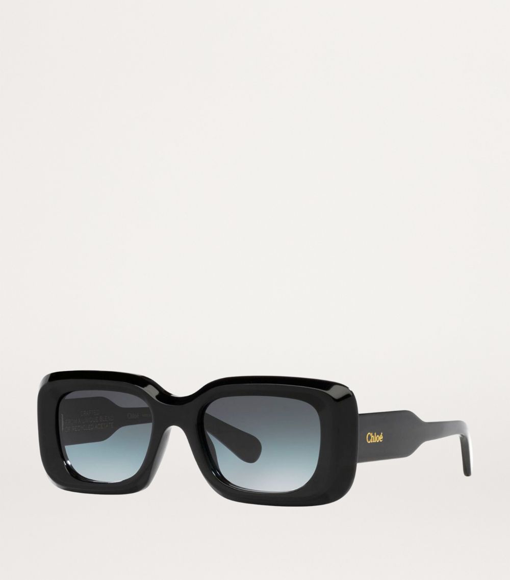 Chloé Chloé Acetate 06N000505 Sunglasses