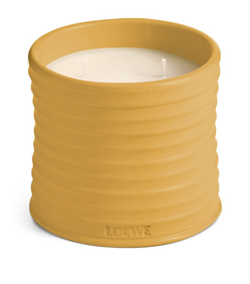 Loewe Loewe Medium Wasabi Candle (610G)