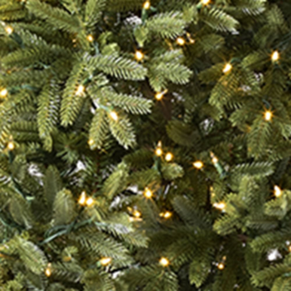 Balsam Hill Balsam Hill Norway Spruce Led Clear Christmas Tree (9Ft)