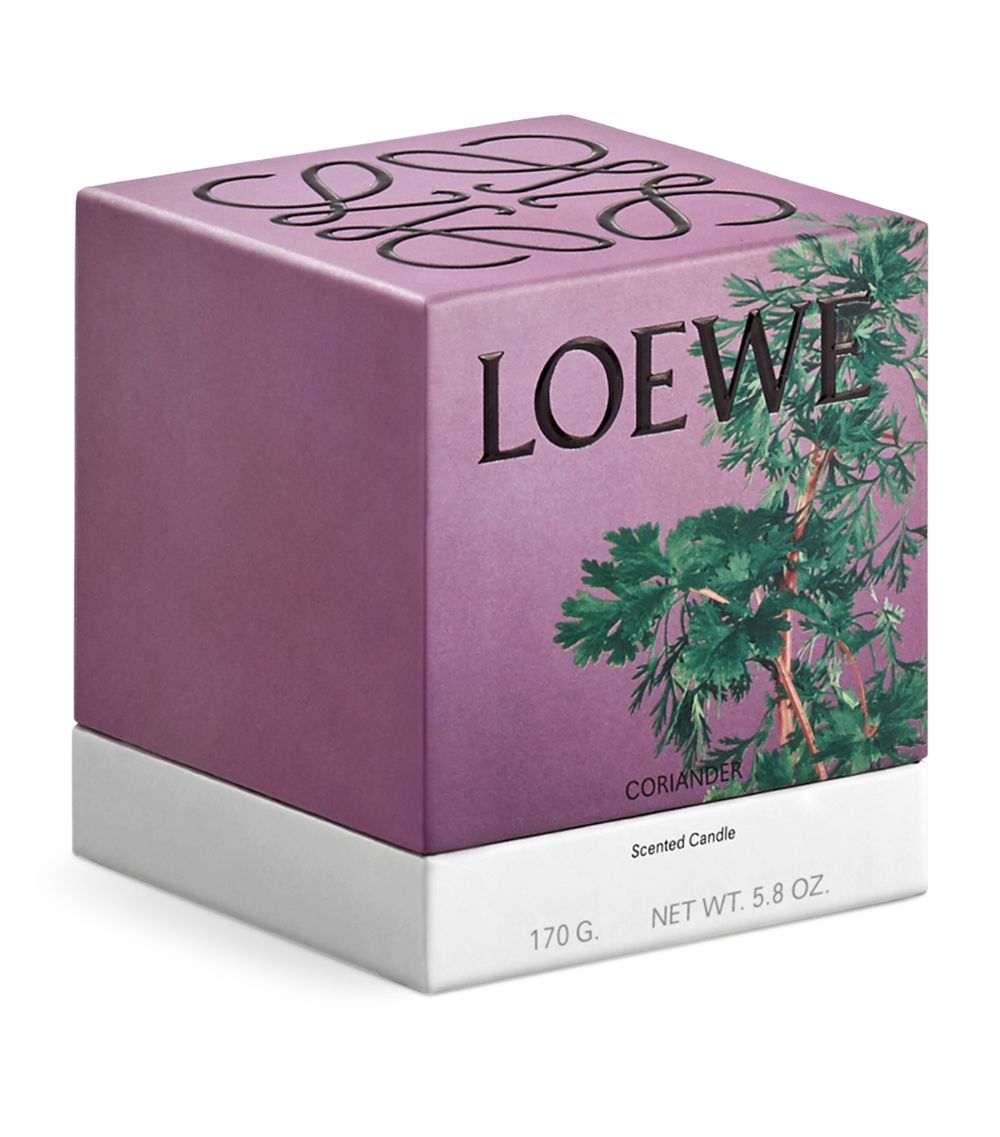 Loewe LOEWE Small Coriander Candle (170g)