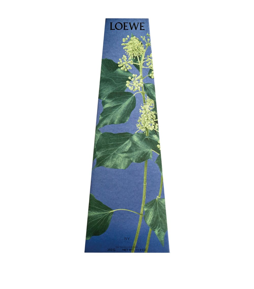 Loewe Loewe Ivy Chandelier Candle (330G)