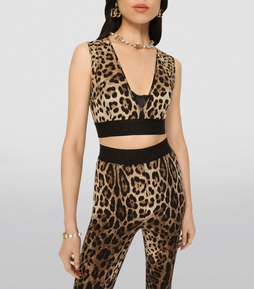 Dolce & Gabbana Dolce & Gabbana Leopard Print Crop Top