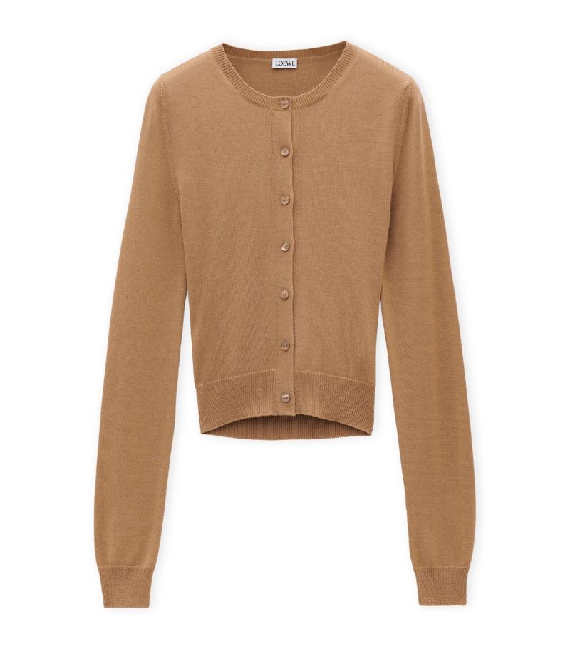 Loewe Loewe Cashmere Draped Cardigan