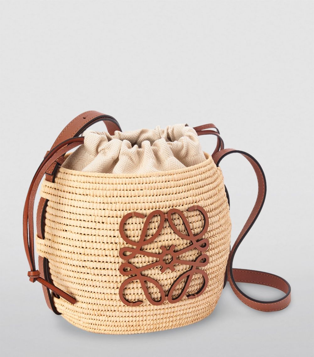 Loewe Loewe X Paula'S Ibiza Raffia Beehive Basket Bag